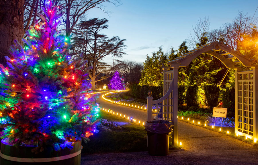 Sparkling Lights Newport Mansions
