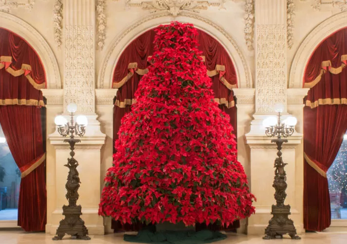 Holidays_Gallery Carousel_Breakers Poinsettia Tree