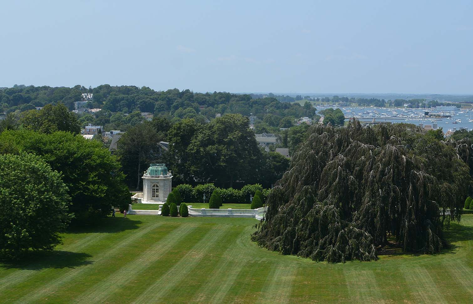 The Iconic Trees of Newport: Past, Present & Future | Newport Mansions