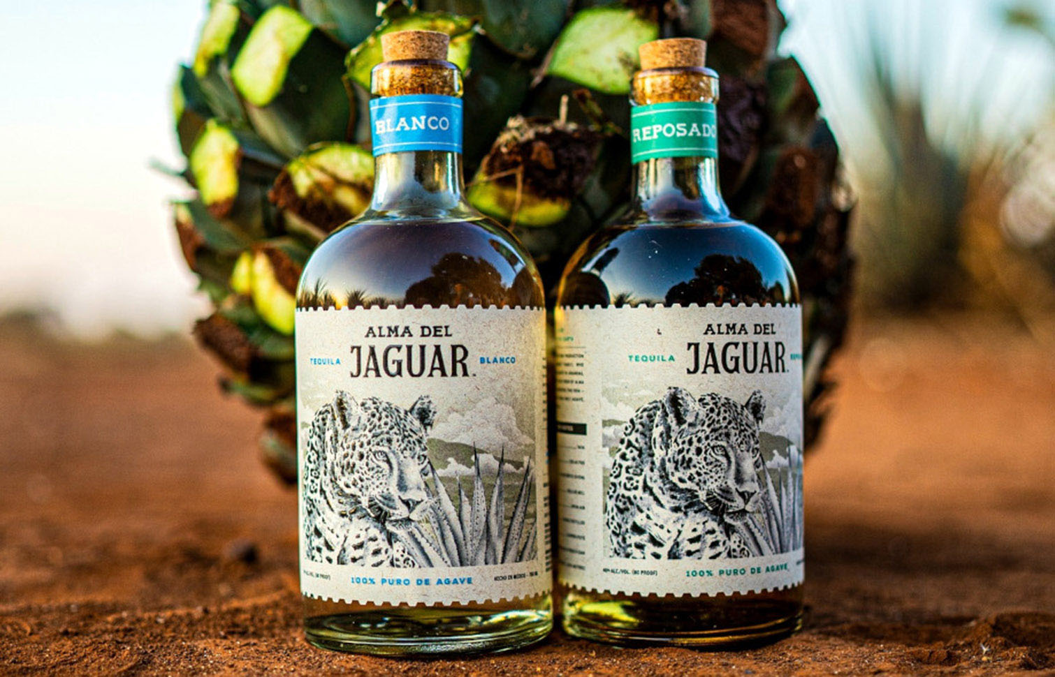 Seminar 14: Alma del Jaguar Tequila: Drink Boldly, Protect Wildly