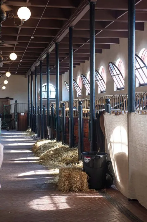 5RusticEleganceBreakersStable