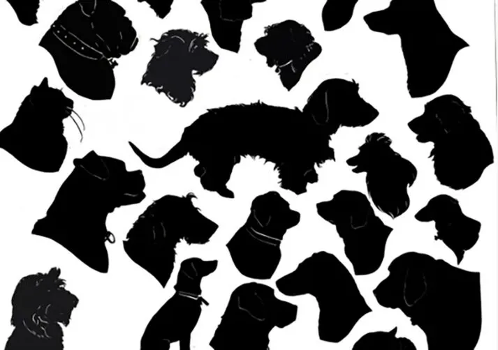 SilhouetteCarousel_2