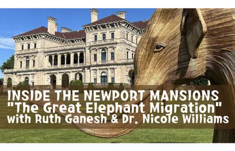 Great Elephant Migration