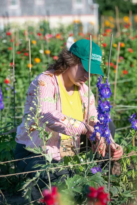 PreppingFlowerBedsThingsToDo