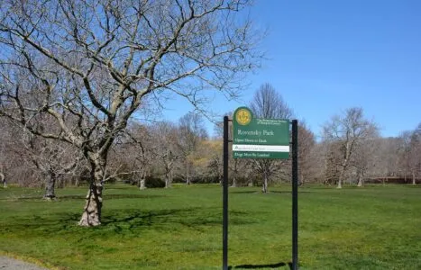 TreeWalkAtRovenskyParkCoverImage_1