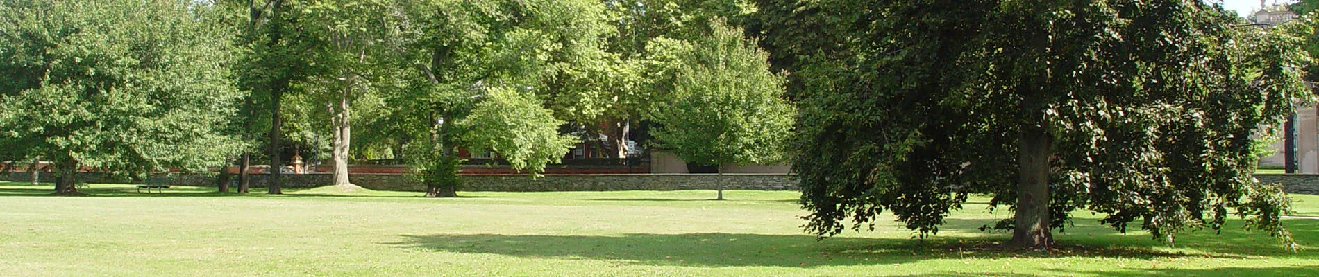 TreeWalkAtRovenskyParkHeroImage_1