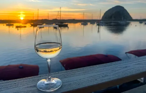 2026Wine&FoodSeminarCoverPhoto_10