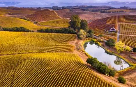 2026Wine&FoodSeminarCoverPhoto_11