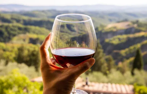 2026Wine&FoodSeminarCoverPhoto_12