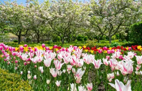 PuttingYourGardenToBedCoverImage_1