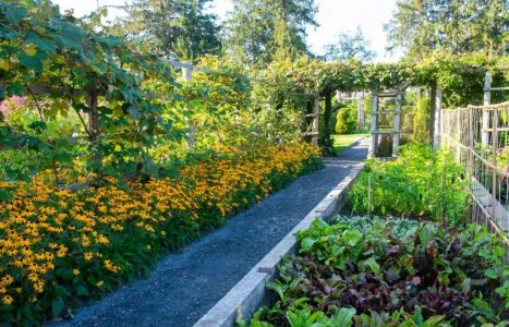 PuttingYourGardenToBedCoverImage_3