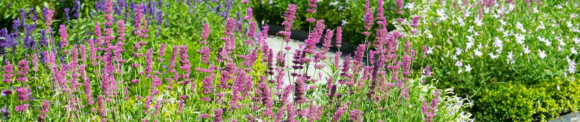 PuttingYourGardenToBedHeroImage_2