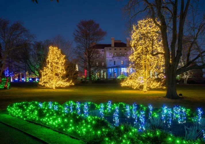 Sparkling Lights-22