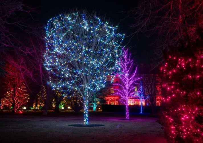 Sparkling Lights-29