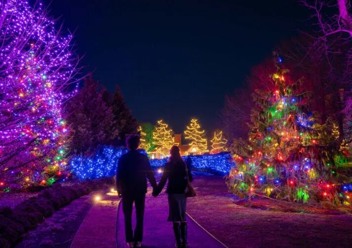 Sparkling Lights-31