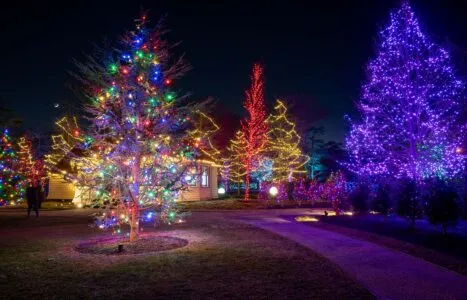 SparklingLightsMemberNightCoverImages_1