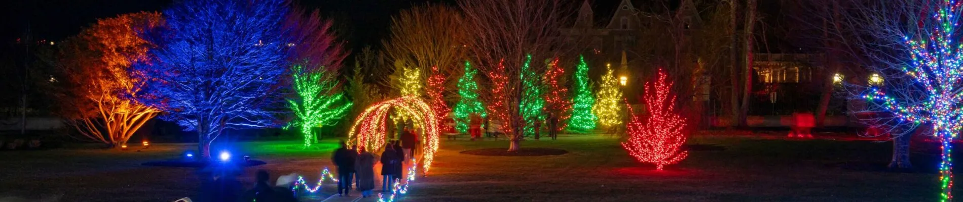 SparklingLightsMemberNightHeroImages_2